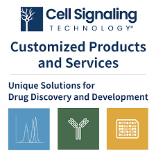 Cell Signaling Technology: